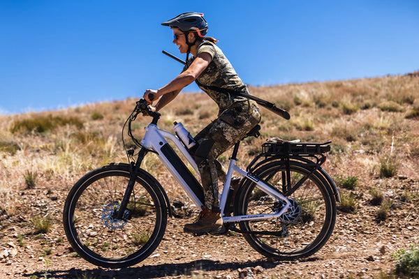 Dirwin Pacer Plus E-Bike