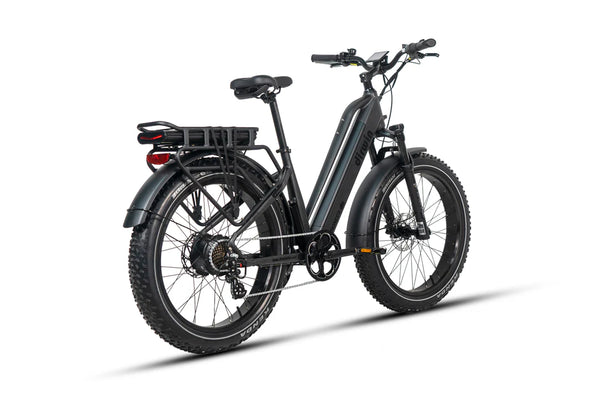 Dirwin Pioneer E-Bike