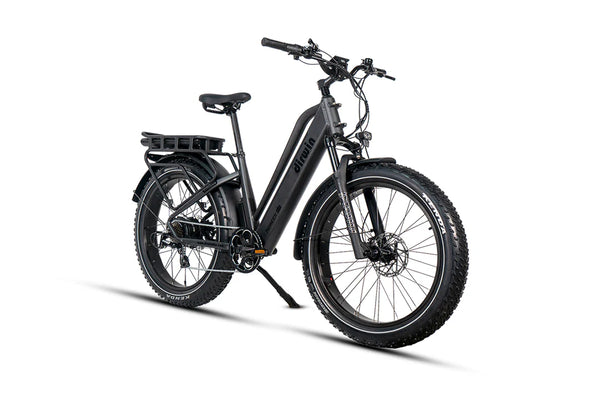 Dirwin Pioneer E-Bike